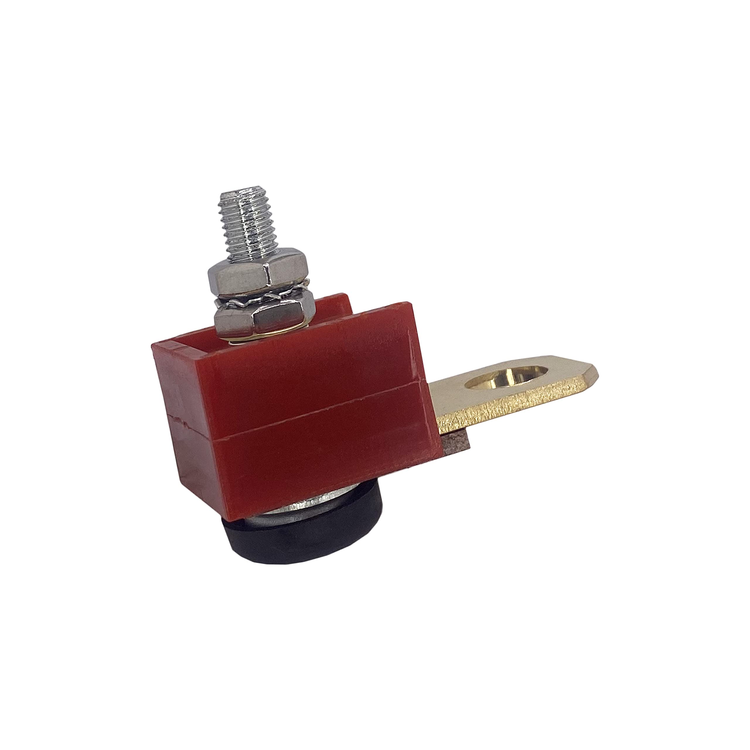 Amazon.com: A.A Trim Fuse Assembly Replacement for Mercury