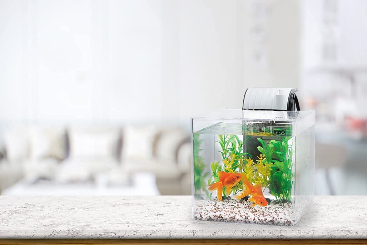 Amazon | テトラ (Tetra) プラスチック水槽 静かな金魚飼育セット SF