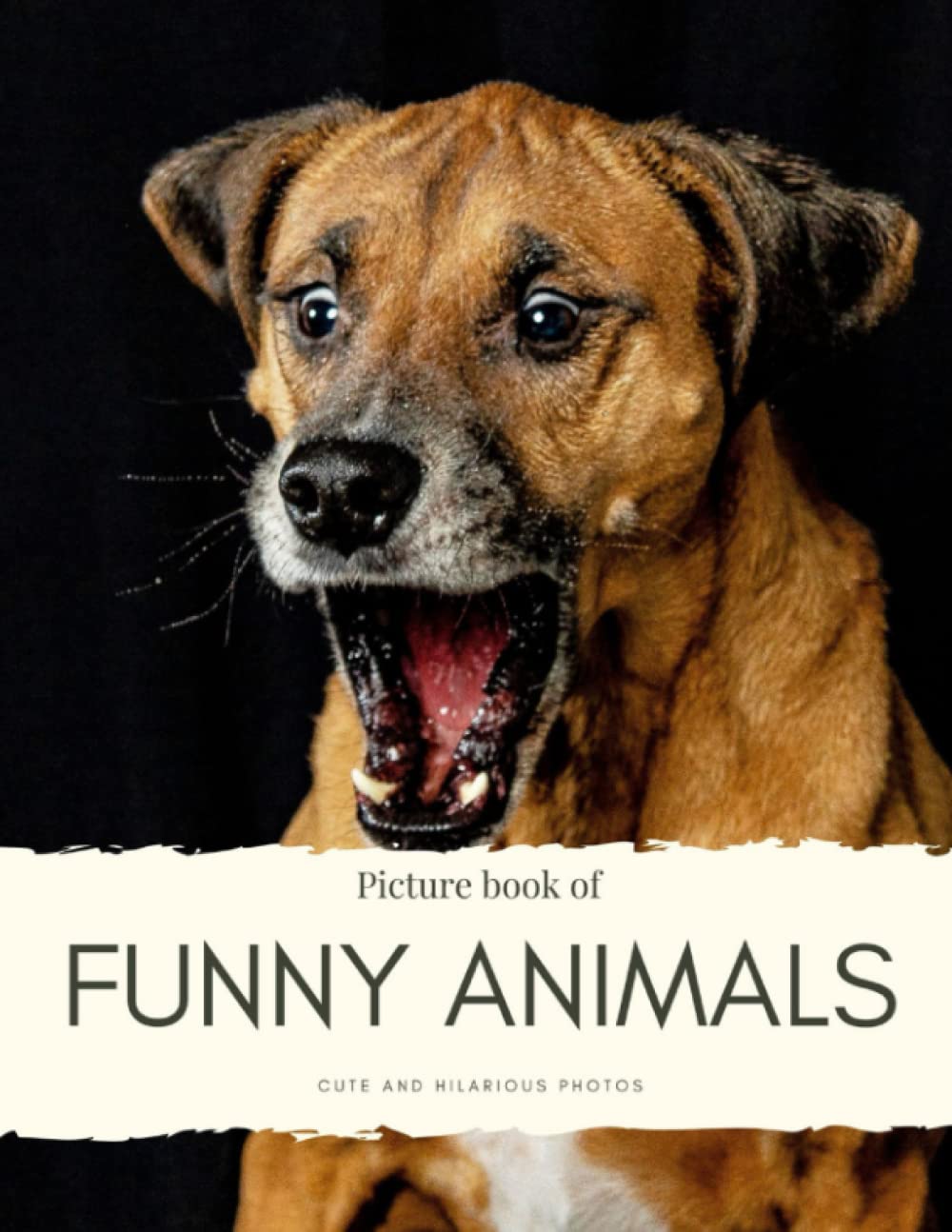 Picture Book of Funny Animals: Cut and hilarious photos - For Alzheimer’s and Seniors with Dementia- Colorful Photos with Large Print for Elderly ... Them Feel Calm (Nostalgia Coffee Table Books)