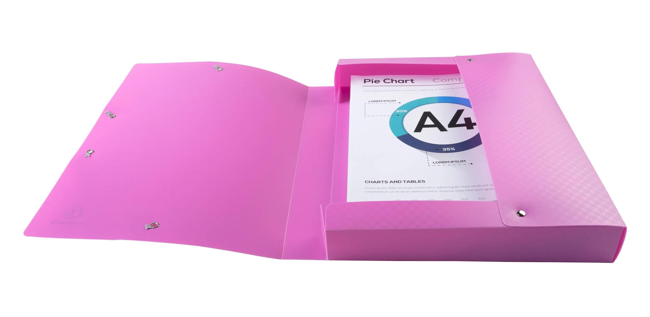 Exacompta - Rif. 59190E - 8 scatole di archiviazione con elastici Forever Young - in polipropilene riciclato - dorso 4 cm - dimensioni 25 x 33 cm - per formato A4 - consegnate montate
