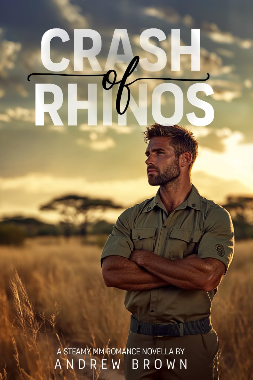 Crash of Rhinos: A Steamy MM Enemies-to-Lovers Bush Romance Novella (Wild Hearts in the African Bushveld)