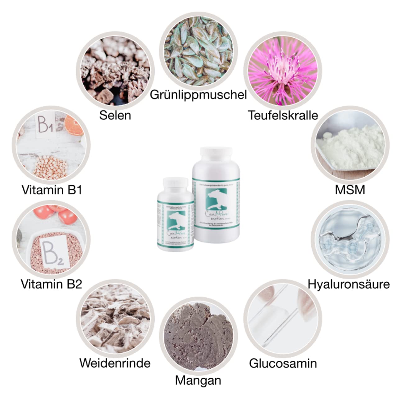 Motion mini - 100 hochentwickelte Gelenktabletten für kleine Hunde, mit MSM, Hyaluronsäure, Gag, GLME, tierärztliche Rezeptur (100 Tabletten)