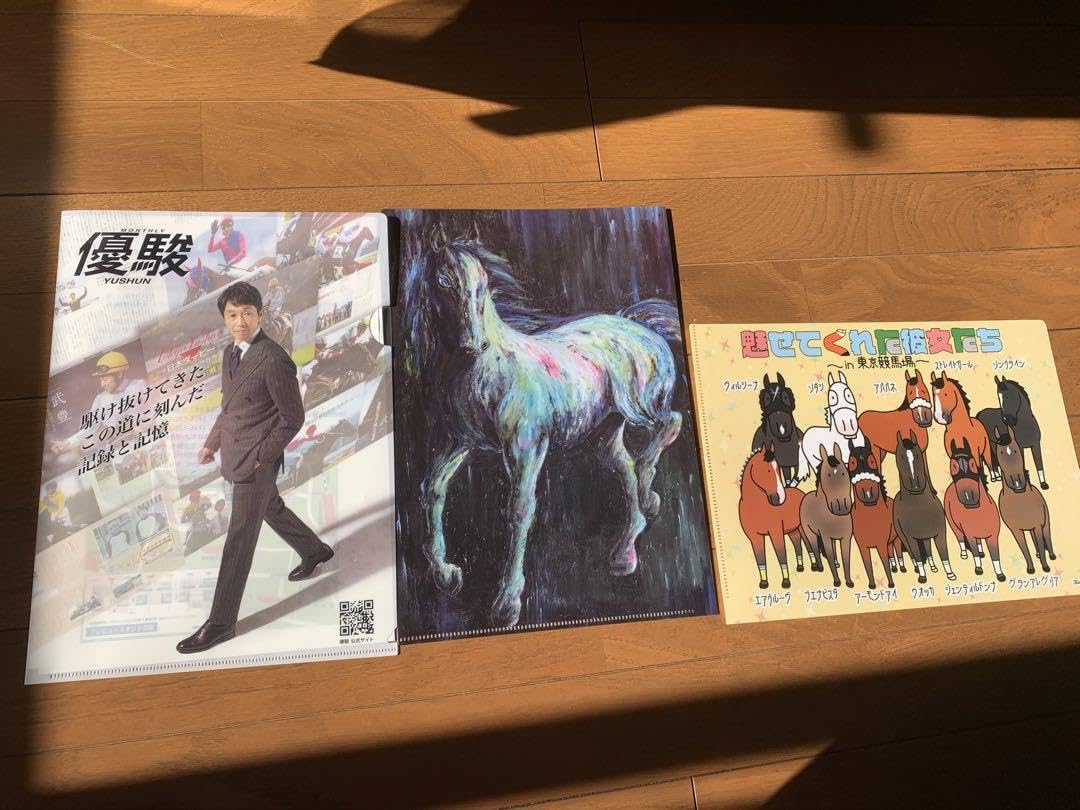Amazon.co.jp: JRA 馬アート展 クリアファイル 東京競馬場 三点