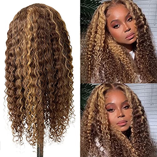 Transparent HD Lace Wigs Long Human Hair 24Inch 13x4 Lace Frontal 150% Density (14 Inch, #13x4 1B/30 Water Wave Highlight Wig)