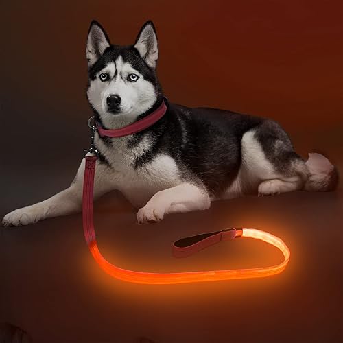 Colaseeme Correa para perro iluminada, correas LED para mascotas, recargable por USB, luces de seguridad para perros por la noche (4 pies, naranja)