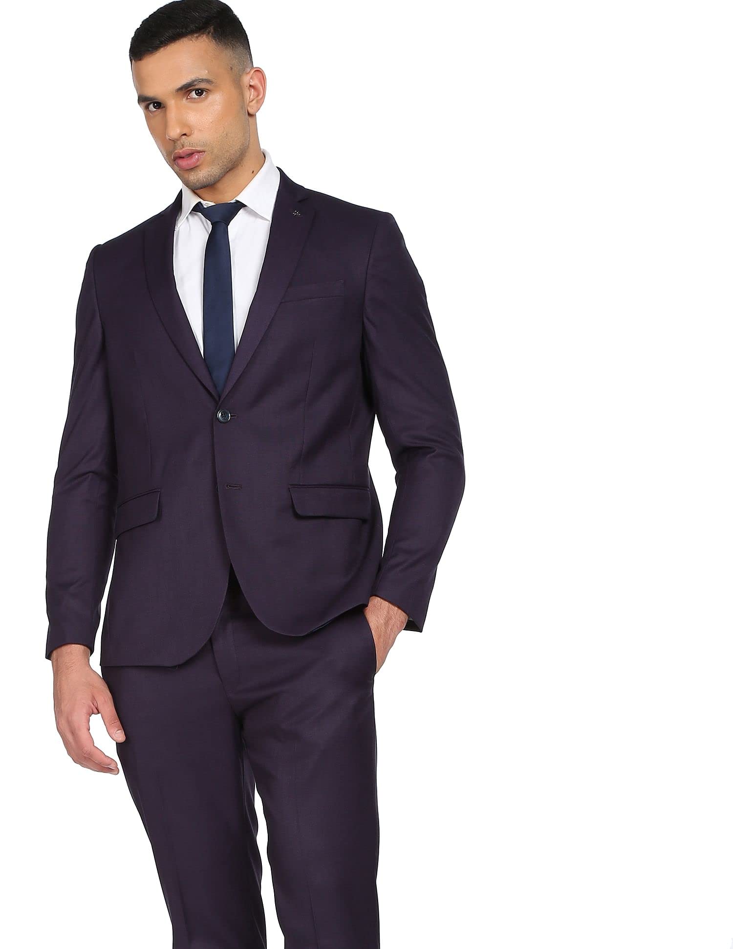 arrow Men Purple Single Breasted Solid Two Piece Suit-picture-30