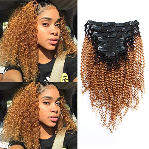 Lovrio Ombre Clip Ins Kinkys Curly Hair Extensions Brazilian Virgin Human Hair Tone Natural Black Fading into Caramel Blonde Color 7 Pieces 120g KCTN/27 16"