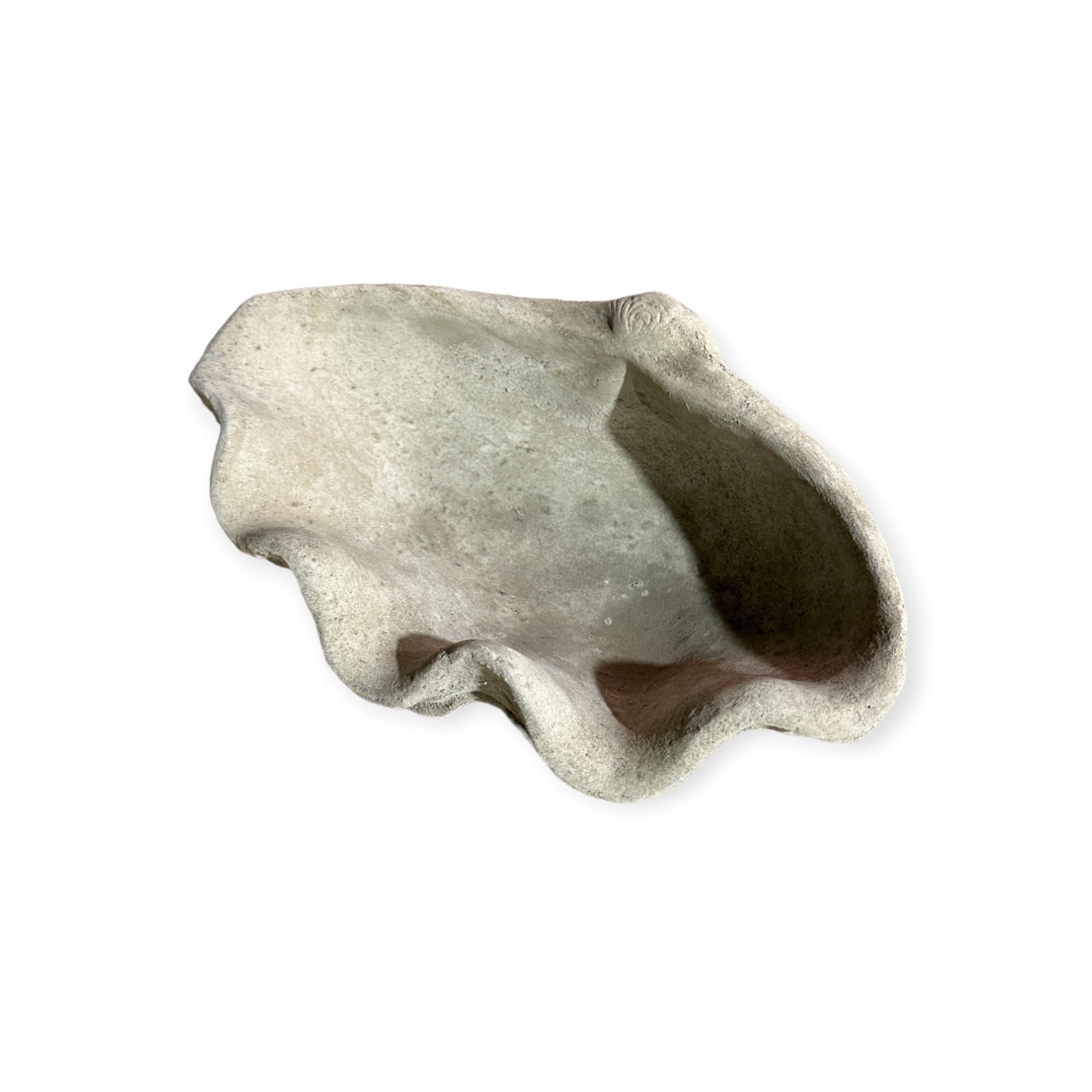 OriginalPaul Skulp & Betondesign Vogeltränke Muschel - Handgefertigt aus frostresistentem Beton (Höhe 13cm / Breite 39cm / Tiefe 26cm)
