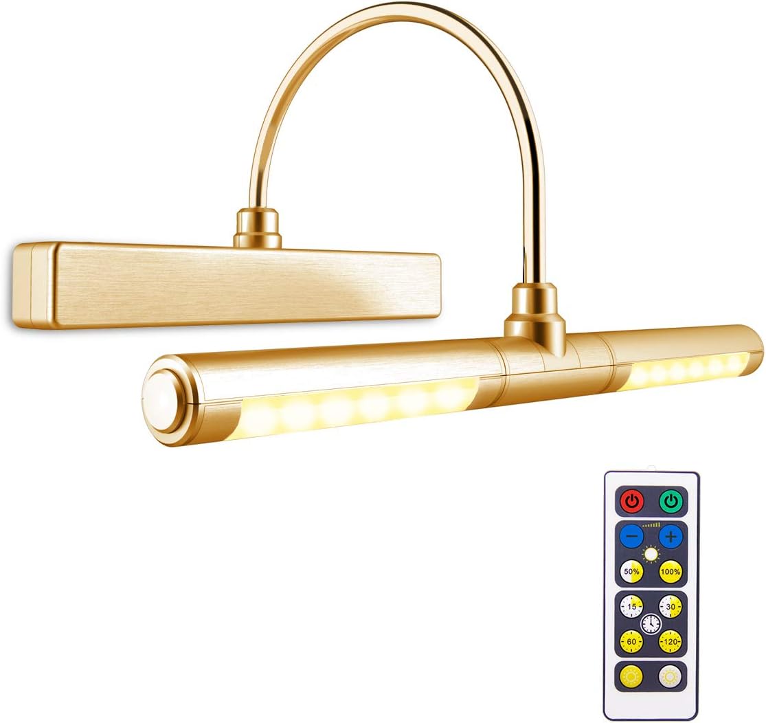 BIGLIGHT Picture Wall Lights with Remote,Wireless Battery Operated LED