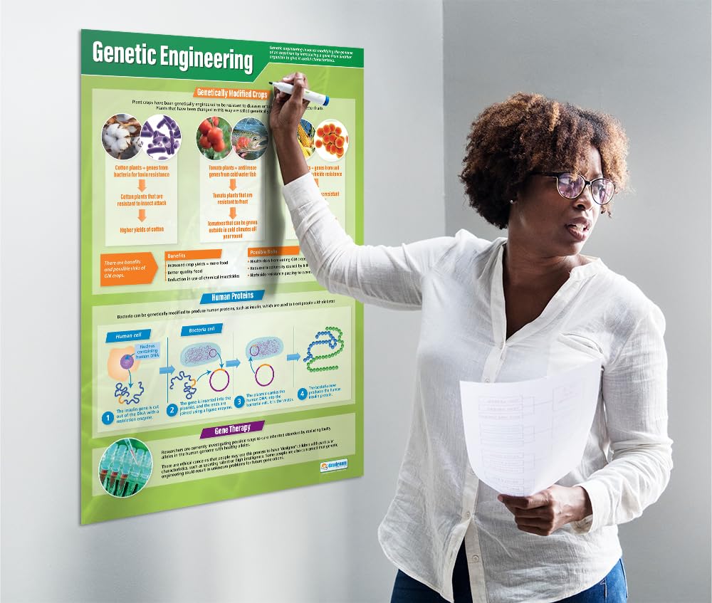 Boîte De Rangement Dekton 19 Compartiments - Organisateur Pour Outils, Vis, Clous, Parfait Atelier !
