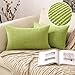 MIULEE Copricuscini 2 Pezzi Federe per Cuscini per Casa Moderna Granulari Resistente e Morbido 30x50cm Verde Erba