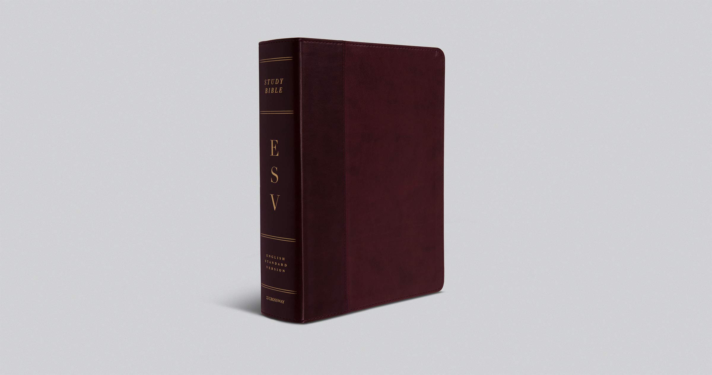 Holy Bible: English Standard Version, Trutone, Burgundy/Red, Timeless Design, Study