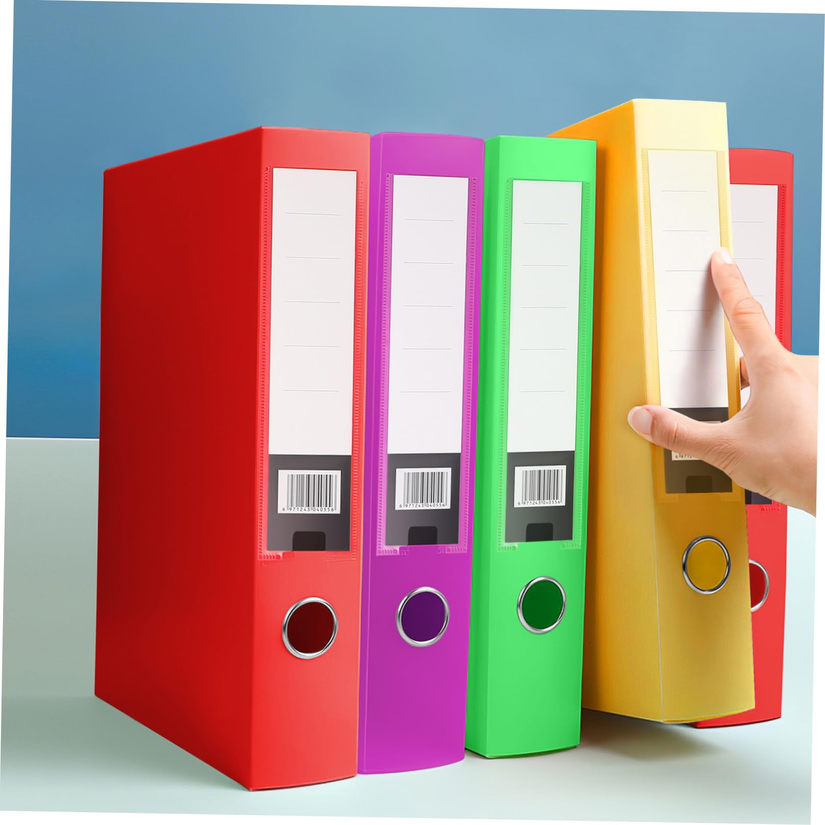 NUOBESTY Cajas de Archivos Escolares Plegables de Plástico Pp, 5 Piezas