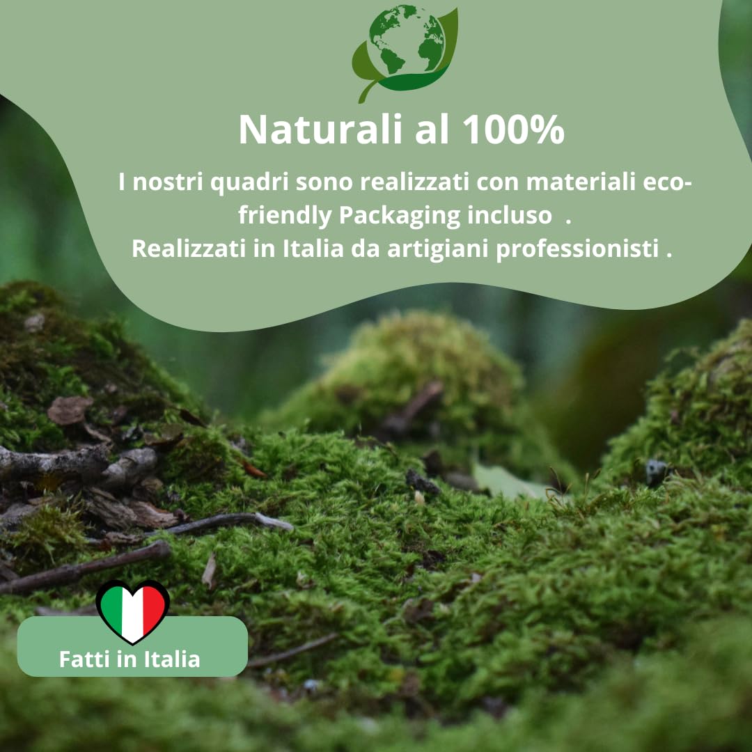 Quadro Esagonale Verde Stabilizzato con Muschio e Licheni Naturali - Decorazione Vegetale di Design per Casa e Ufficio - Senza Manutenzione (Esagonale 40x40 cm., con Cornice)