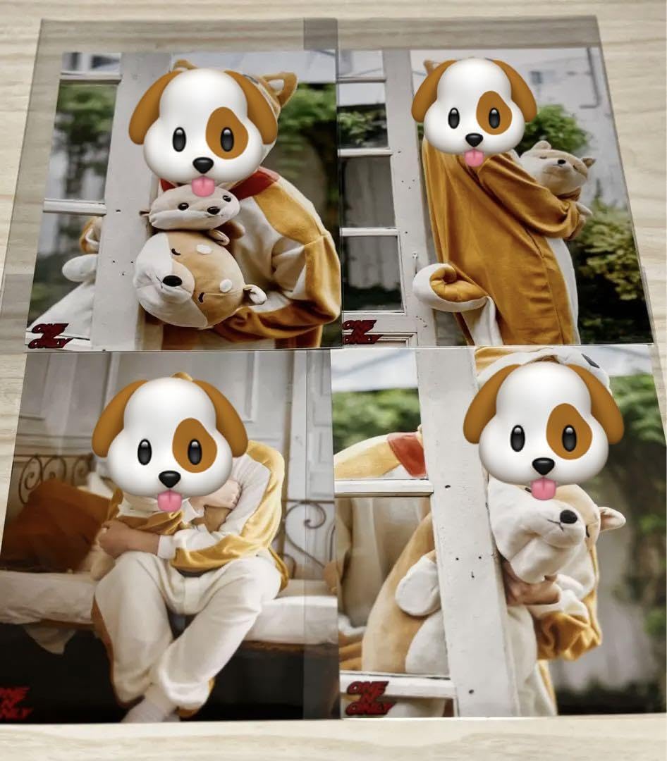 Amazon.co.jp: 沢村玲 生誕 2L スクラッチ REI 写真 : Toys & Games