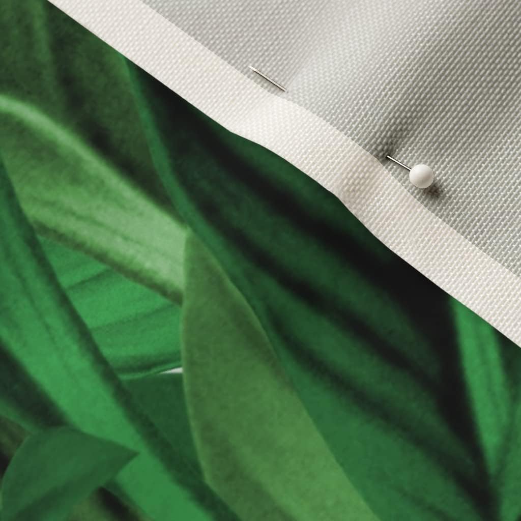 Spoonflower Fabric - Palm Jungle Green Island Botanical Leaves Tropical Classic Paradise Printed on Upholstery Velvet Fabric Fat Quarter - Upholstery Home Decor Bottomweight Apparel