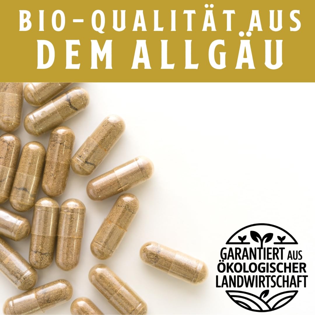 Bio Rinderleber Kapseln – 240 Stück von grasgefütterten Weiderindern aus Deutschland | Natürliches Multivitamin mit Folat, Eisen, Vitamin B12 & Kupfer | Hochwertiges Leber-Supplement I AUR Naturals