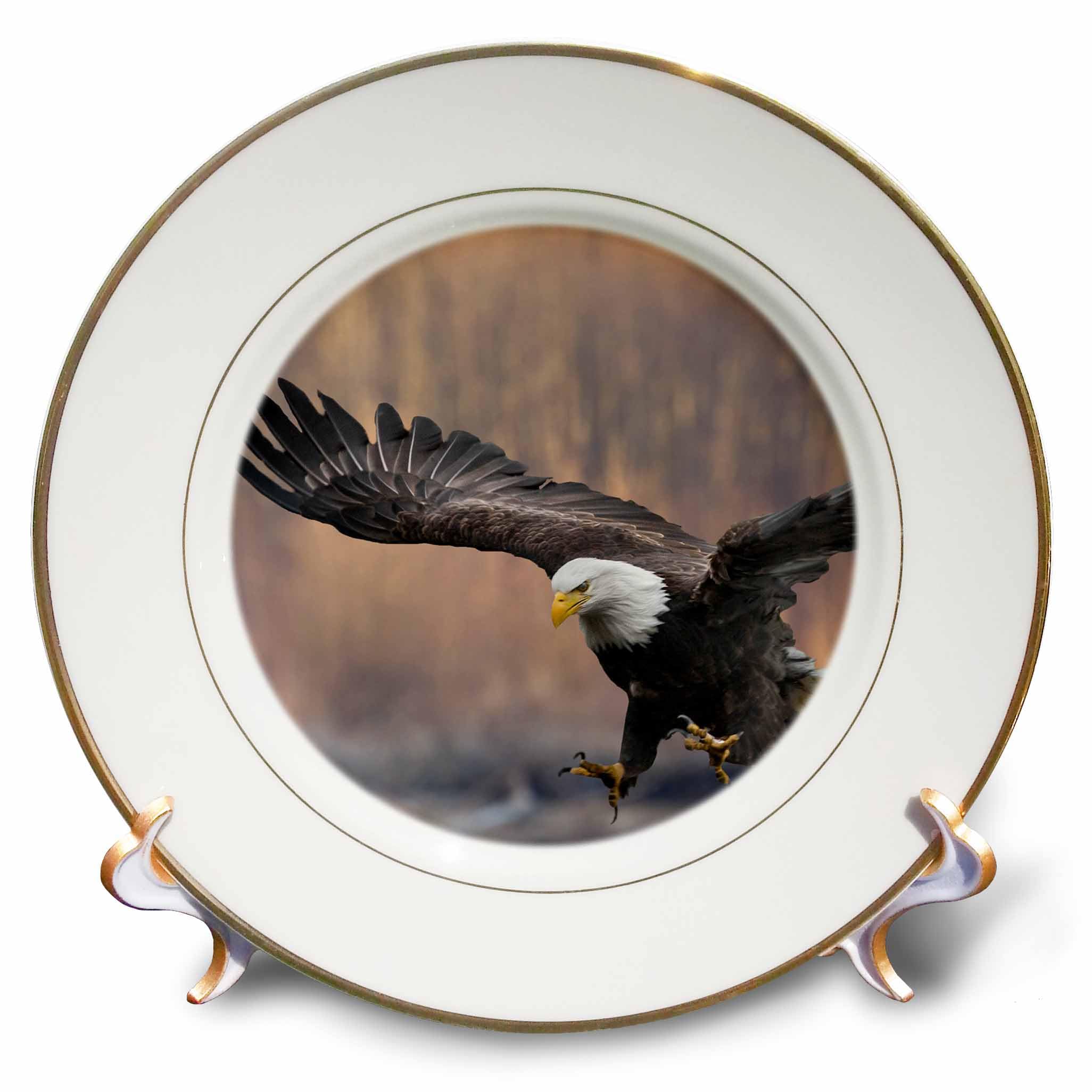 3dRose cp_205871_1 Nooksack River, Washington State, USA Bald Eagle Landing Porcelain Plate, 8"
