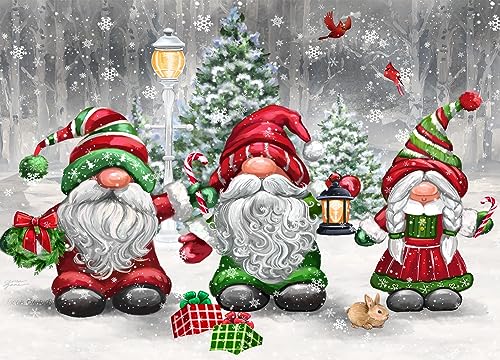 Vermont Christmas Company Box of 'Christmas Gnomes' Christmas Cards - 15 Cards & 16 Foil Lined Envelopes - Packed in Attractive Red Box - Cards measure 4 1/2