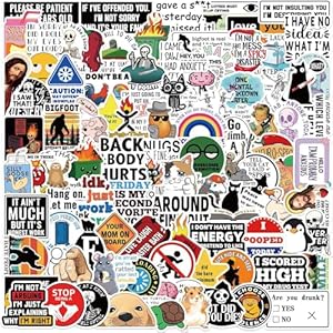 100 calcomanías divertidas, calcomanías de meme de broma, calcomanías de vinilo para botellas de agua, laptop para adultos