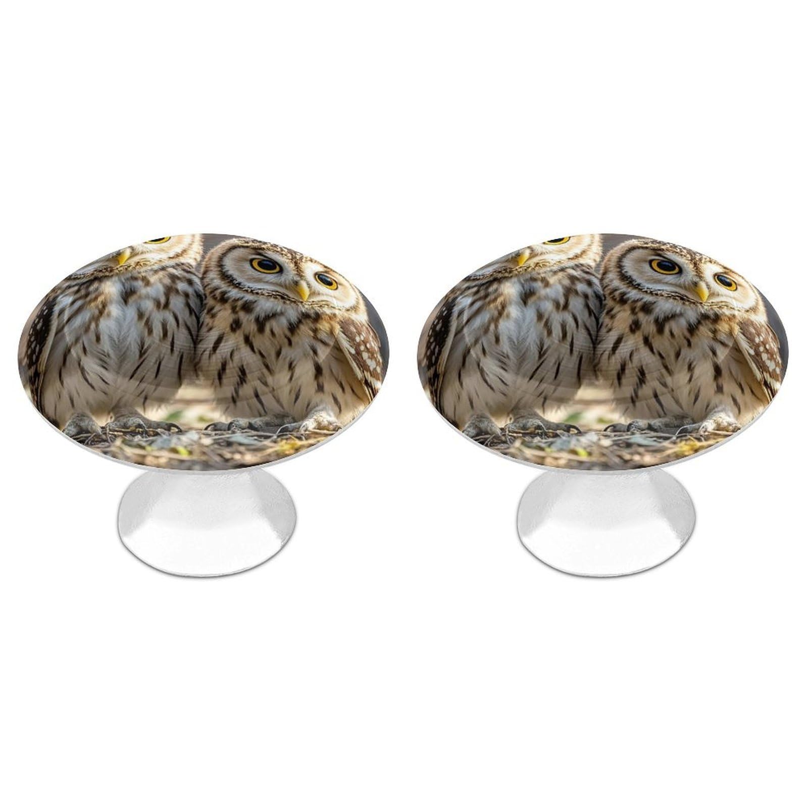 FekiLoot Round Cabinet Knob 2 Pack Kitchen Drawer Knobs Stainless Steel Round Drawer Pulls Modern Cabinet Hardware Real Cute Owls Drawer Hardware for Dresser Closet Door Knobs