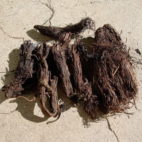 Urantex� Very Rare Jata Shankar Jata Mansi Nardostachys Jatamansi 200 g for Pooja (B09C8MTC17) Amazon Price History, Amazon Price Tracker