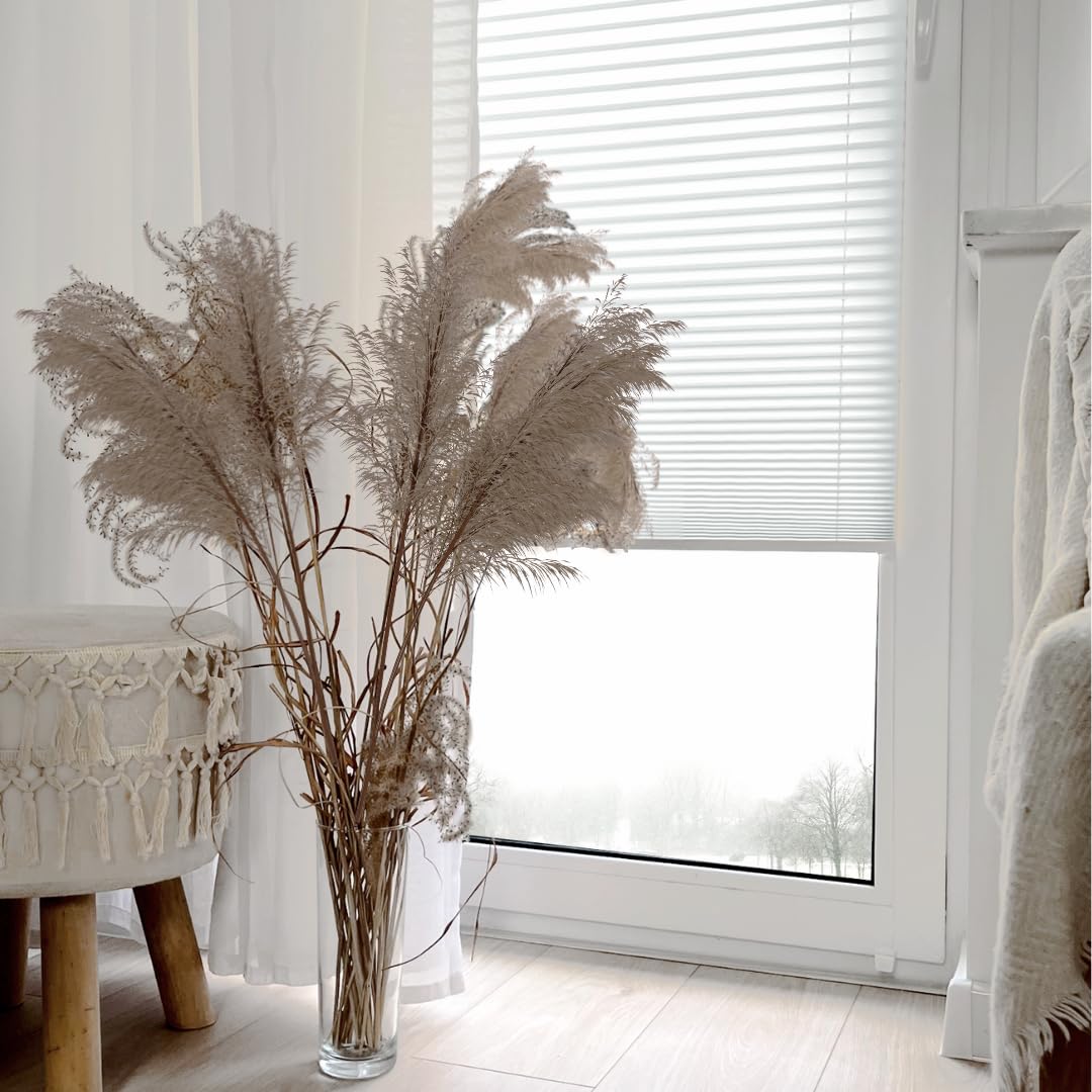 Home-Vision Premium Faltrollo Plissee ohne Bohren mit Klemmfix Lichtdurchlässig Rollo innen (Weiß B60 x H120cm) Easyfix Klemmträger Verdunklung Blickdicht Sonnenschutz Jalousie für Fenster & Tür