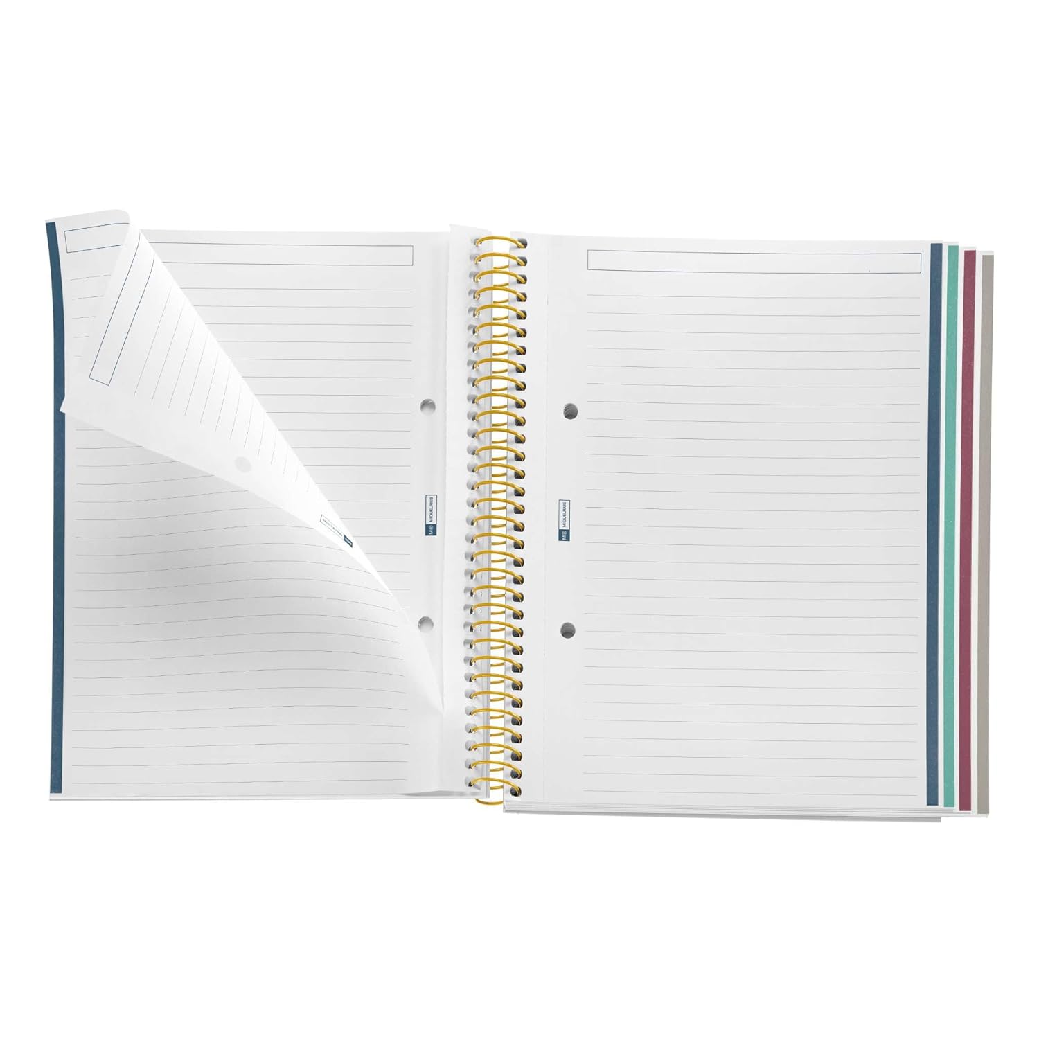 Miquelrius - A5 Ruled Notebook, Notebook with 100 Sheets of 4 Colours to Organize, 70gsm Non-bleed Paper, 2 Holes for Filing, Spiral, Neon      Spiral-bound