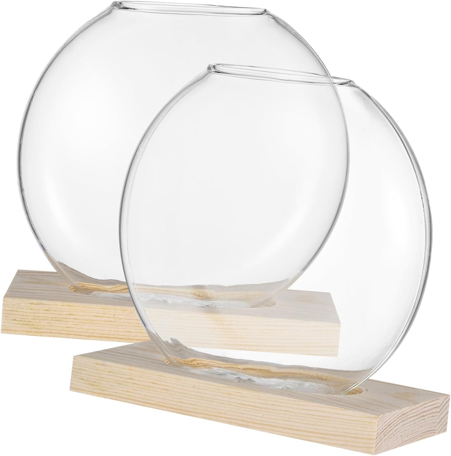 BESPORTBLE 4sets Nordic Style Hydroponic Plant with Stands for Decor Elegant Glass Propagation Holders for Indoor Plants for Displaying Greenery