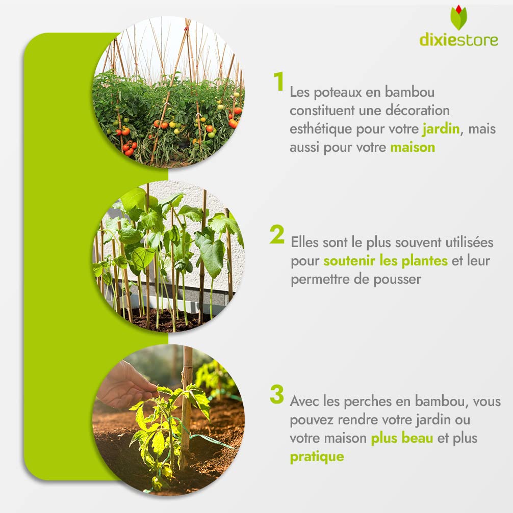 Dixiestore Baguettes en Bambou | Poteaux en Bambou Ensemble de Supports de Fleurs | Lot de 25 Piquets de Plantes Très Résistants 180 Cm x 12-14 Mm