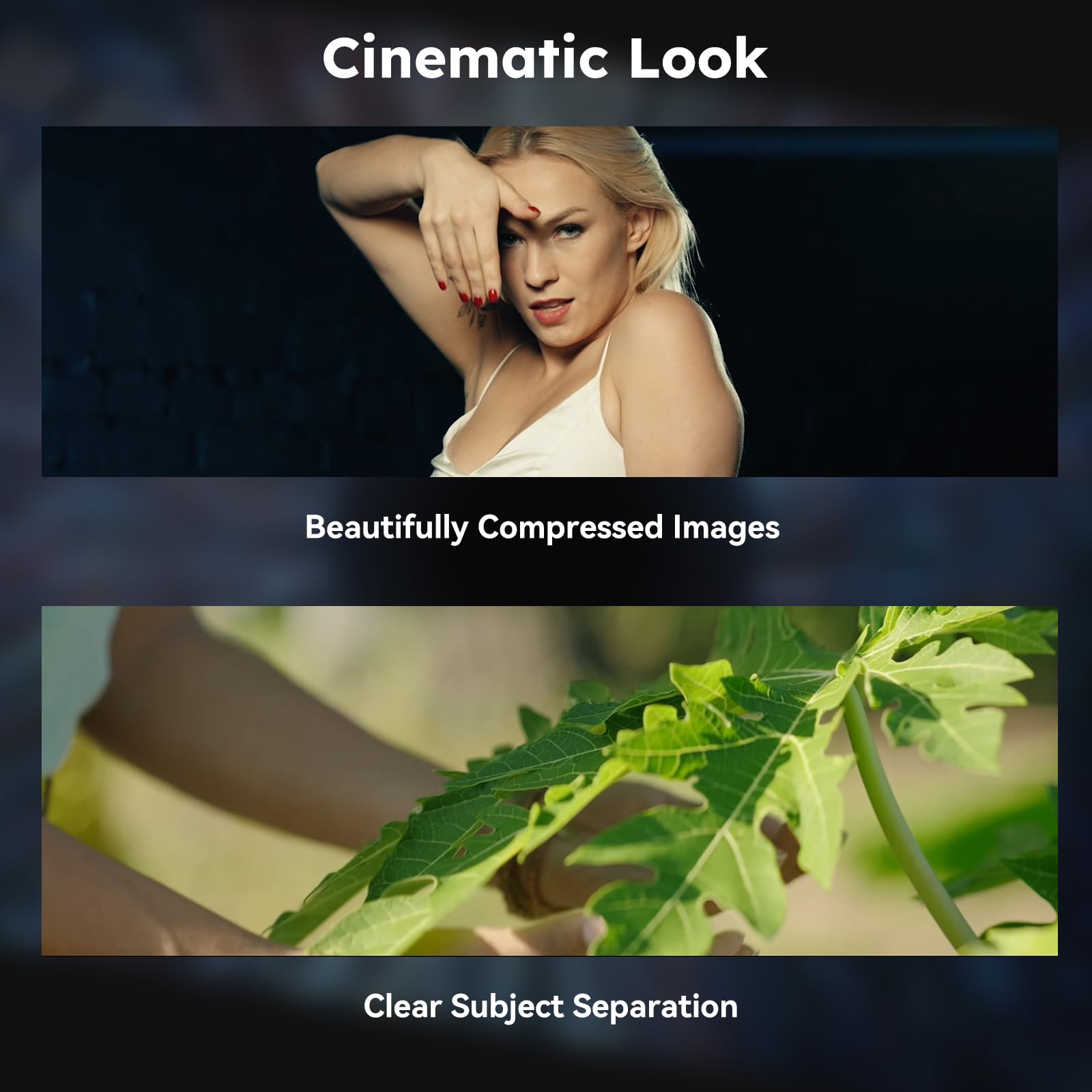 Amazon.co.jp: SIRUI 135mm T2.9 1.8X フルサイズ アナモルフィック