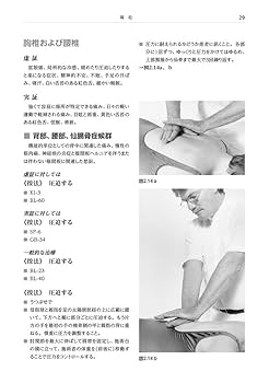 療術の原理と方法　手技編 脊椎固定術−これが基本テクニック (OS NEXUS(電子版付き) 6