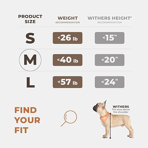 Miniatura 4 de Asiento de automóvil para perro extra estable, asiento de automóvil reforzado para perros de tamaño mediano con 4 correas de sujeción, asiento de