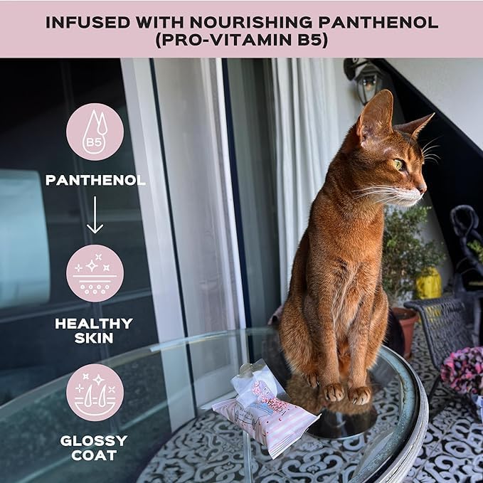 ウェットティッシュ パンテノール入り スフィンクス猫用 日常用 (24パック/360枚)