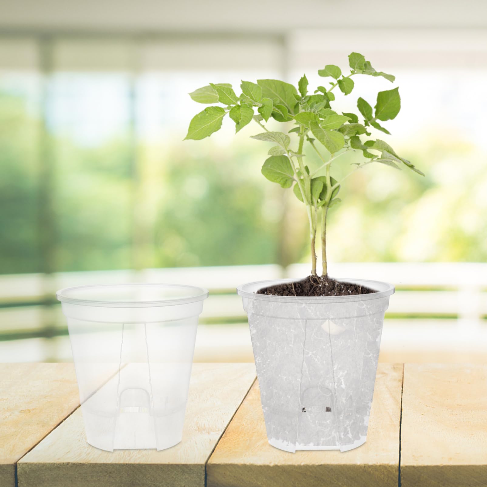 Toyvian 6 Pièces Pots de Fleurs Plastique Transparent Autonome Pots à Drainage pour Plantes Intérieur Respirants pour Orchidées Auto Arrosage pour Intérieurs