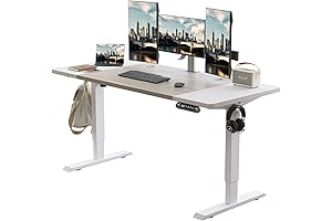 Radlove Electric Standing Desk: Your Ergonomic Workspace Solution