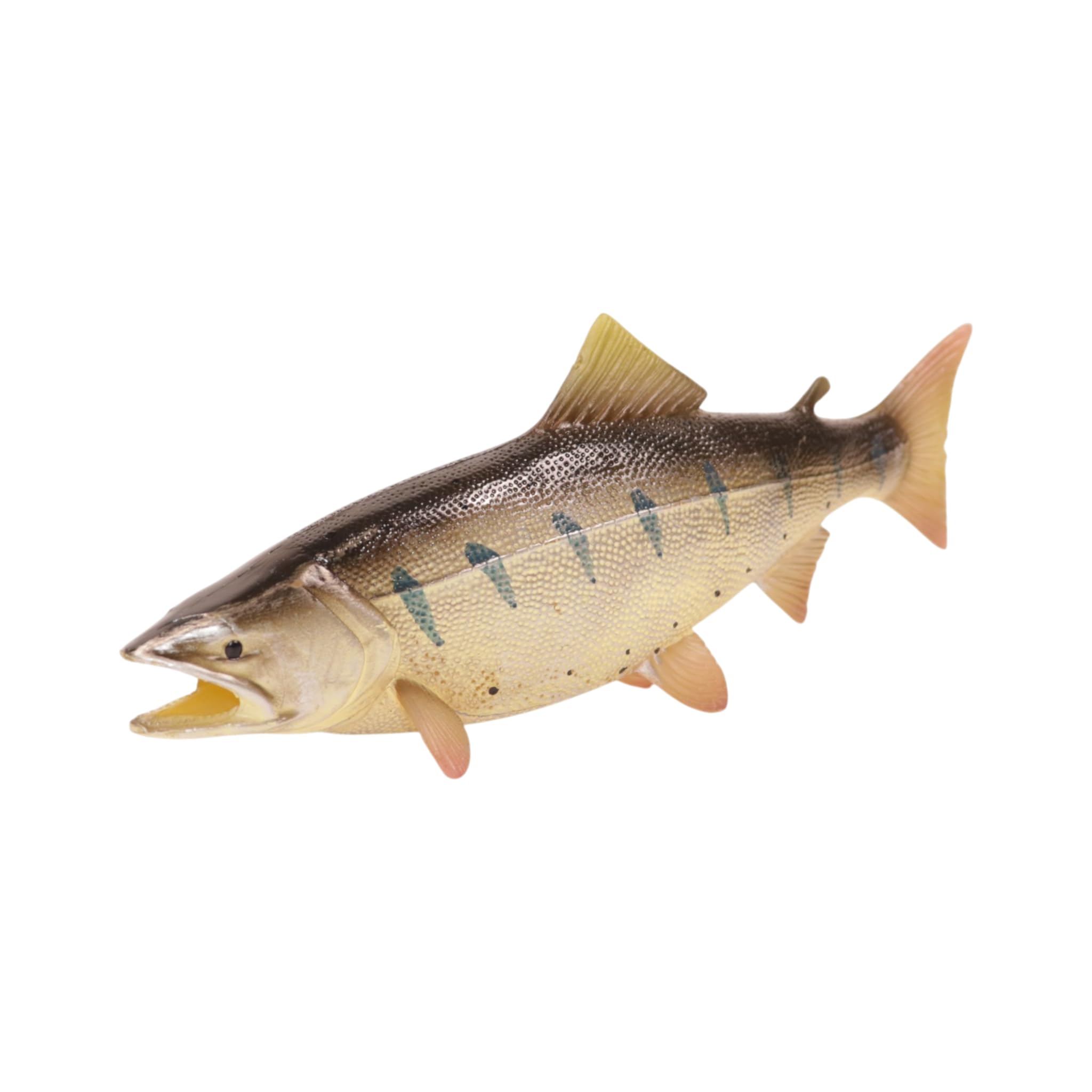 Amazon.co.jp: [猫神山] 山女魚 ヤマメ 川のサカナ 渓流 魚 フィギュア
