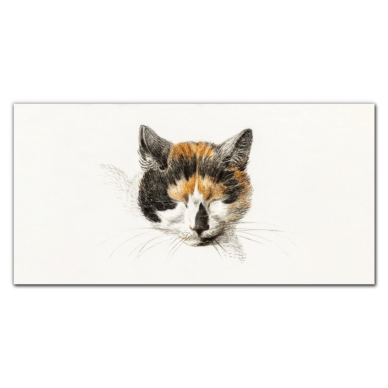 Crédence de cuisine anti-tache en verre trempé 100x50cm dosseret mural motif chat mignon