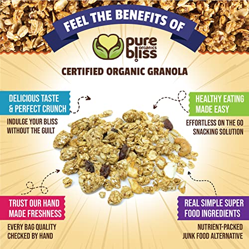 Pure Bliss Organic Low Sugar Granola (Cashew Cranberry) Gluten Free, Vegan, Non-Gmo, Low Glycemic, Best Tasting No Sugar Added, Superfoods, Healthy Snack Granola Cereal, Date Sweetened, Whole Foods "No Sugar Buzz" (Value Pack: 3 X 12Oz Bags) #TOP3