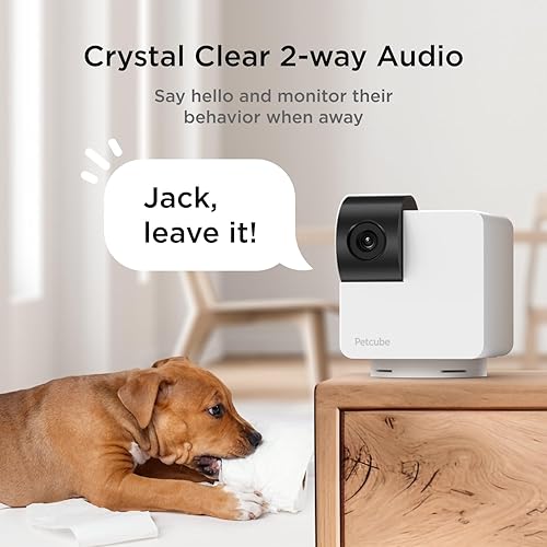 Miniatura 4 de Petcube Cámara Cam 360  Cámara interactiva WiFi para mascotas y seguridad para el hogar con aplicación de teléfono, video HD de 1080p, rotación de