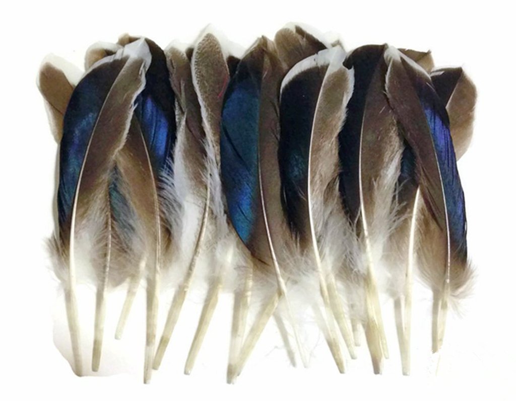 PANAX Natural Duck Feathers 100 pieces 8-13cm (3-5inch) Length, Ideal for Carnival, Halloween, crafts, Handwerk, DIY, clothing, costumes, decoration