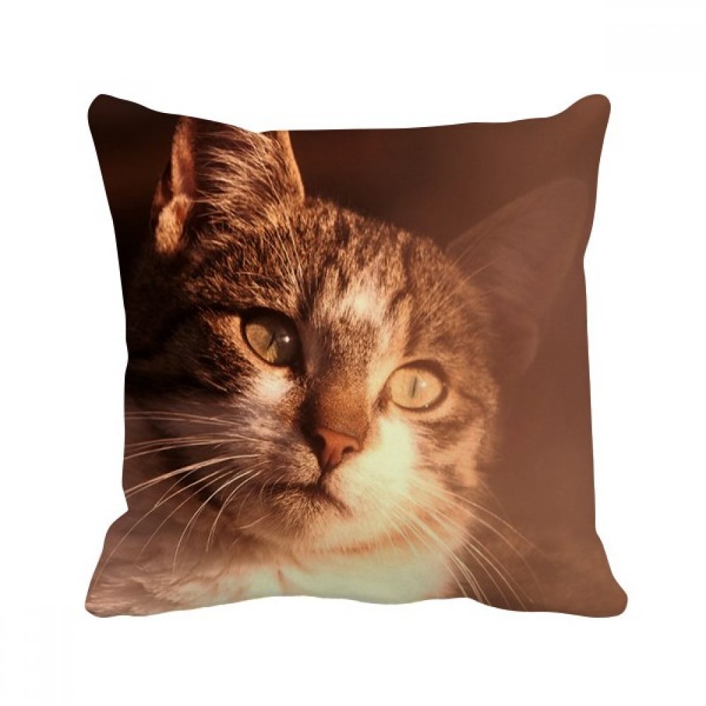 Coussin lanterne chinoise lotus : ravivez un canapé terne