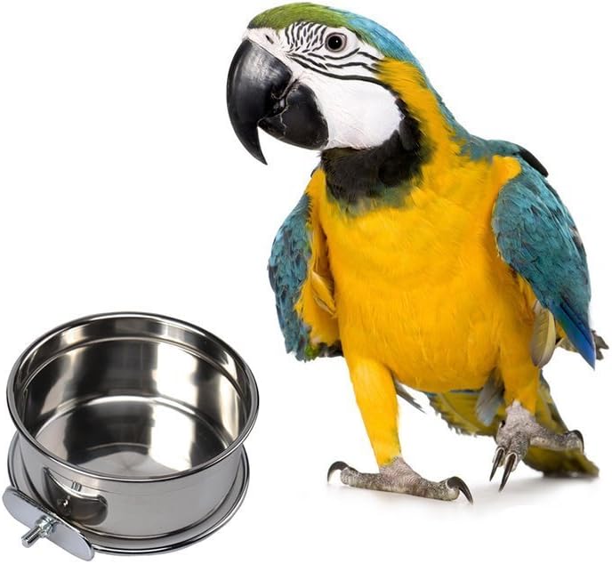 Mrli Pet Food & Water Bird Cup with Clamp Holder Stainless Steel Coop Cup Feeding Dish Feeder for All Bird Small Animal and Puppy Dog Cages 20 Oz