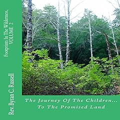 The Journey of the Children...to the Promised Land Audiolibro Por Rev. Byran C. Russell arte de portada