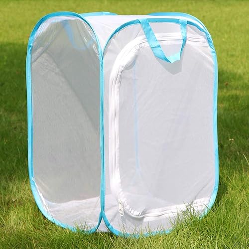 Miniatura 24 de RESTCLOUD - Jaula de hábitat para insectos y mariposas, 23.6 pulgadas de alto Blanco con verde