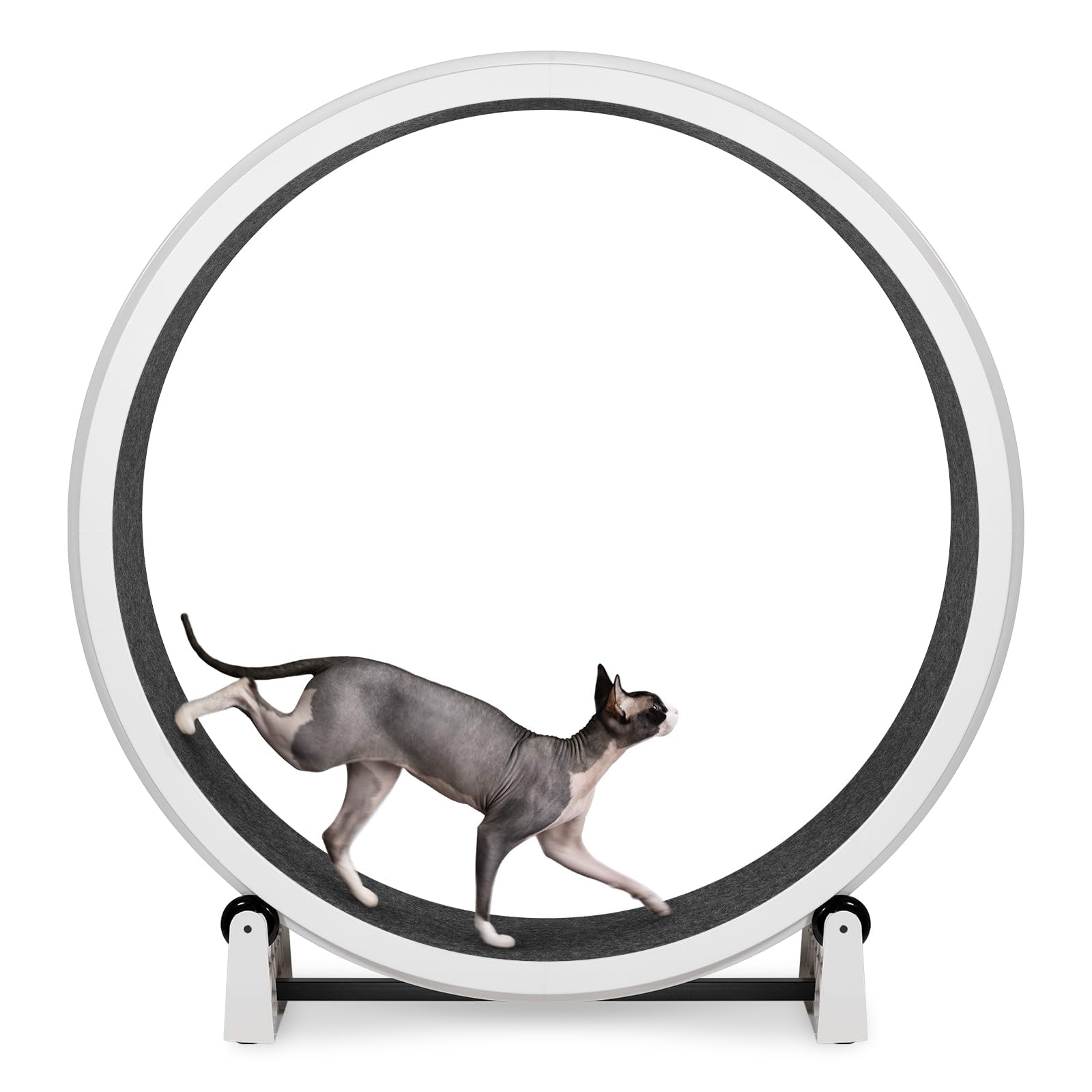 One Fast Cat Exercise Wheel, Gen 7, Safe 48” Diameter, Made in the USA