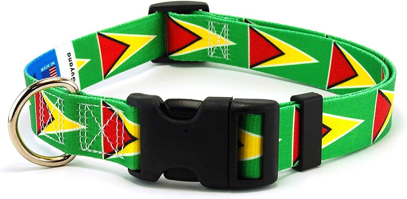 Guyana Dog Collar | Guyana Flag | Martingale Slip-On | Made in NJ, USA | for Extra Large Dogs | 1 inch Wide