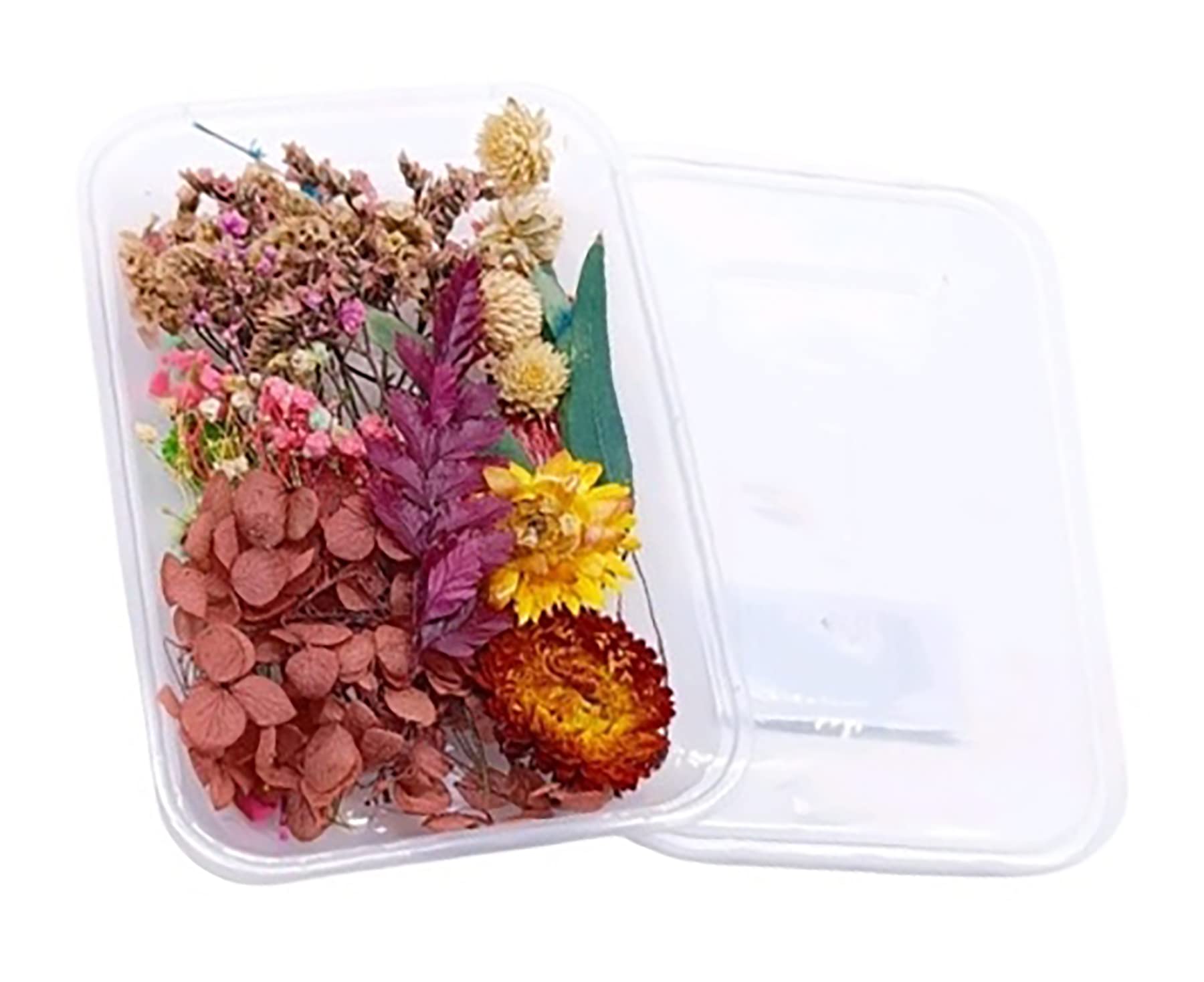 Natural Real Dried Flowers for Art Craft - Mixed & Multicolor for Soap, Artificial Candles, Scrapbooking, DIY, Resin Jewelry, Pendant - Flower 10-image-41