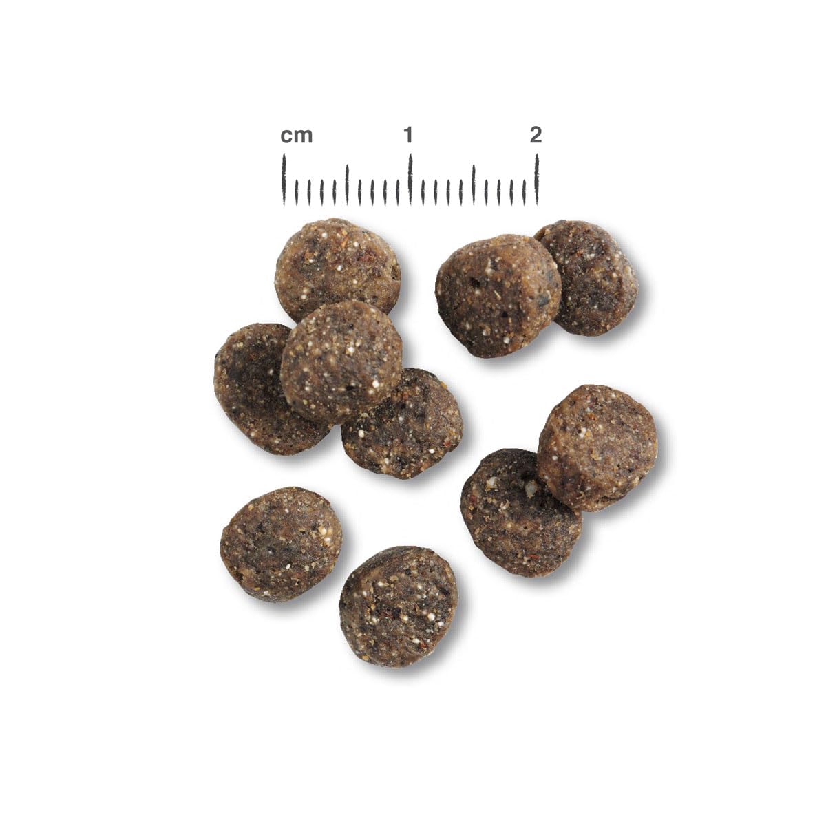 Belcando Finest GF Salmon [2 x 12,5 kg] getreidefreies Hundefutter | Trockenfutter für kleine & mittlere Hunde | Alleinfuttermittel für Hunde ab 1 Jahr Sparpaket