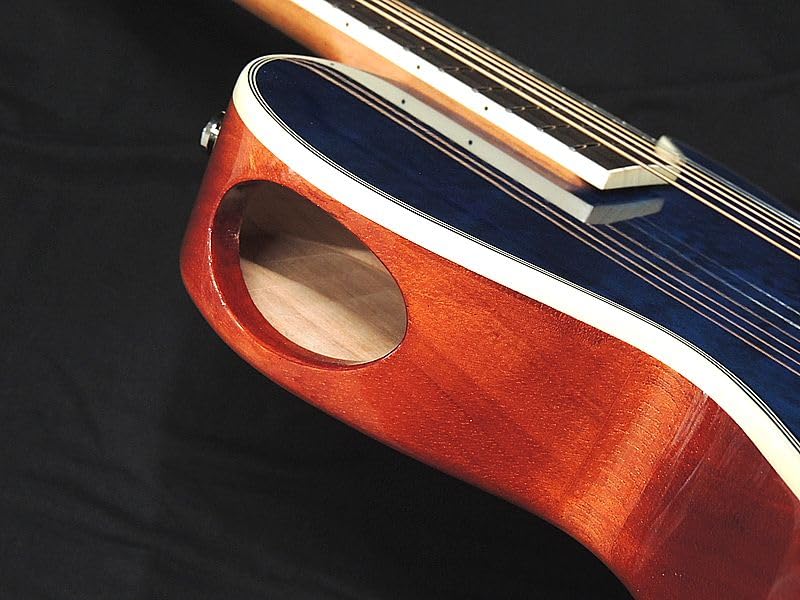 Amazon | ARIA APE-100 SBL 薄胴 エレアコ エレクトリック